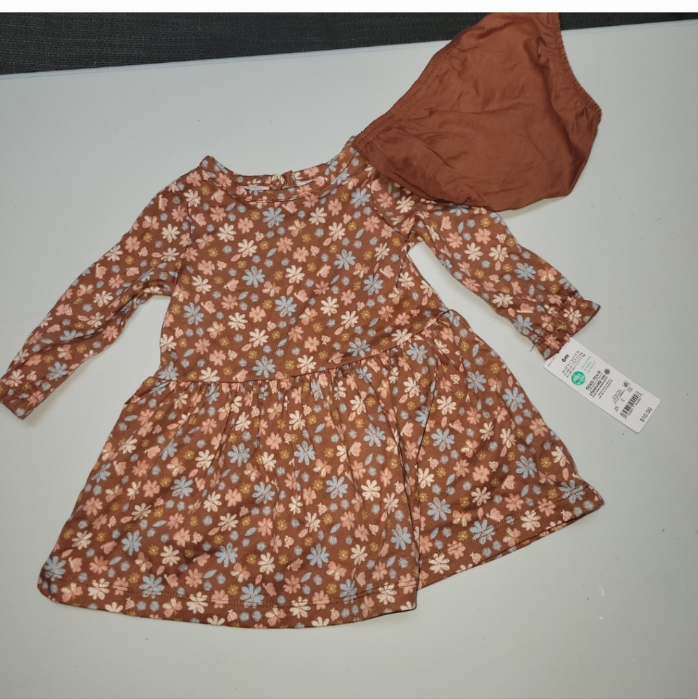 Fall dress. 6 mth. Carters.